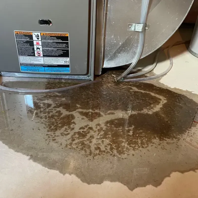 Appliance Leak Cleanup in East Point, GA